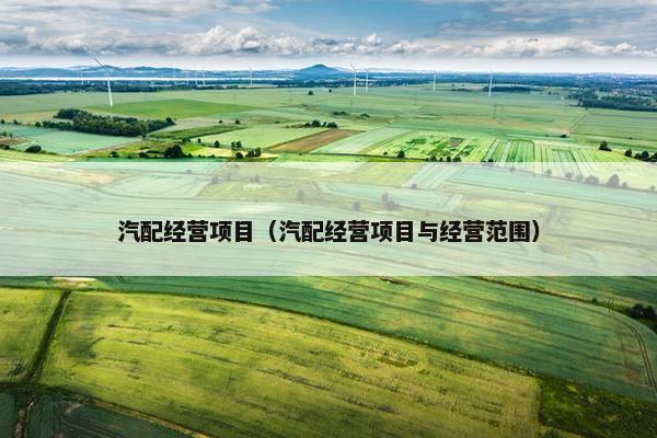 汽配经营项目（汽配经营项目与经营范围）