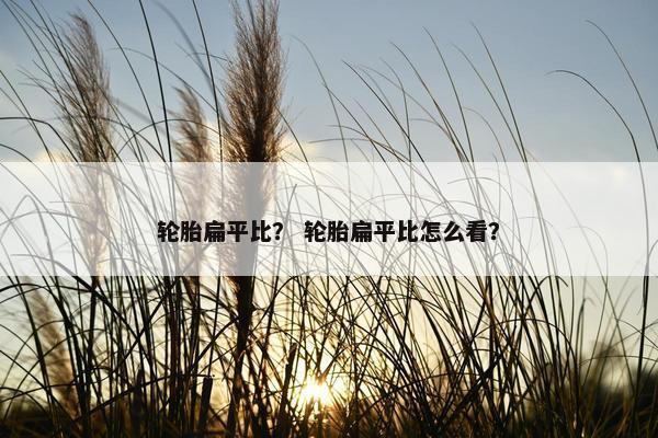 轮胎扁平比？ 轮胎扁平比怎么看？