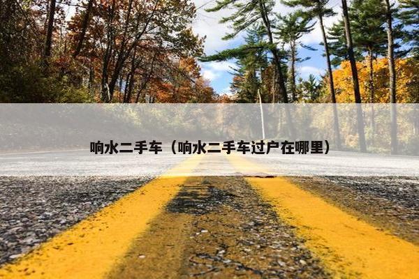 响水二手车（响水二手车过户在哪里）