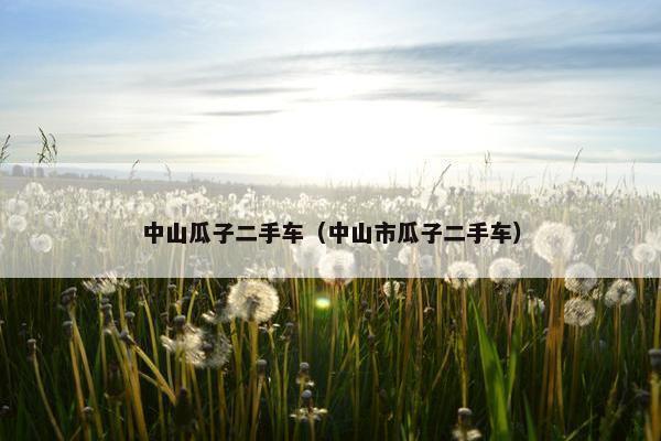中山瓜子二手车（中山市瓜子二手车）