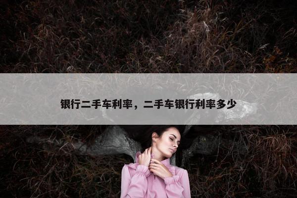 银行二手车利率，二手车银行利率多少