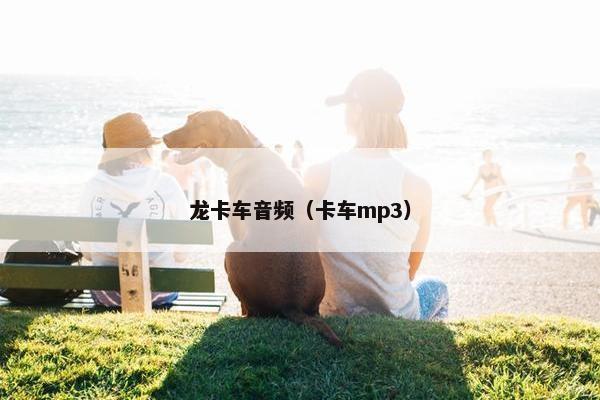 龙卡车音频（卡车mp3）