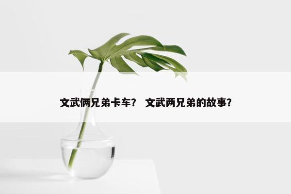 文武俩兄弟卡车？ 文武两兄弟的故事？