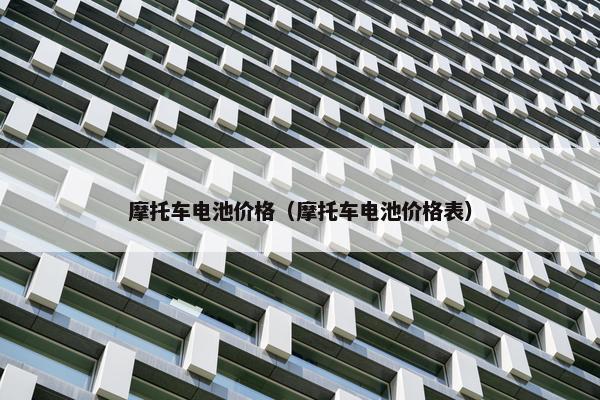 摩托车电池价格（摩托车电池价格表）
