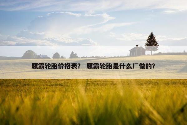鹰霸轮胎价格表？ 鹰霸轮胎是什么厂做的？