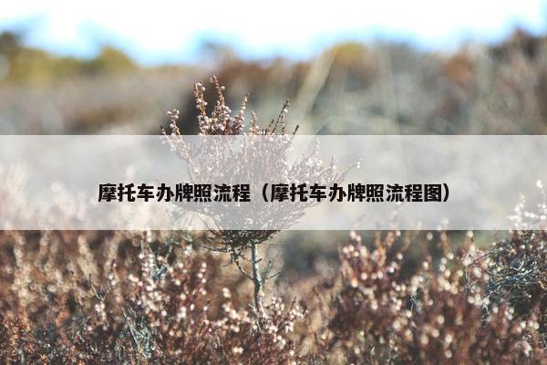 摩托车办牌照流程（摩托车办牌照流程图）