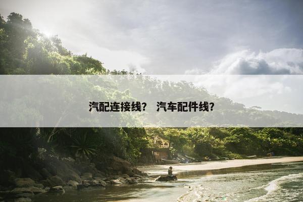 汽配连接线？ 汽车配件线？