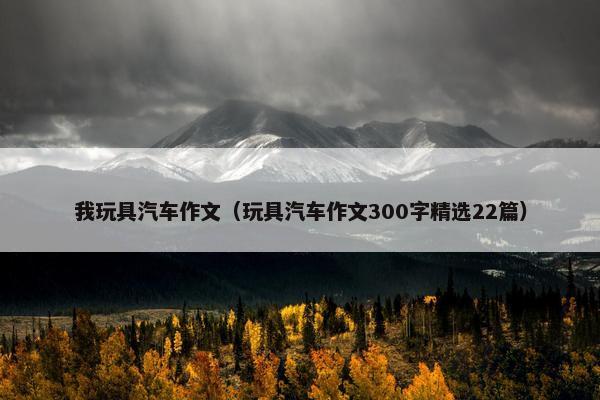 我玩具汽车作文（玩具汽车作文300字精选22篇）