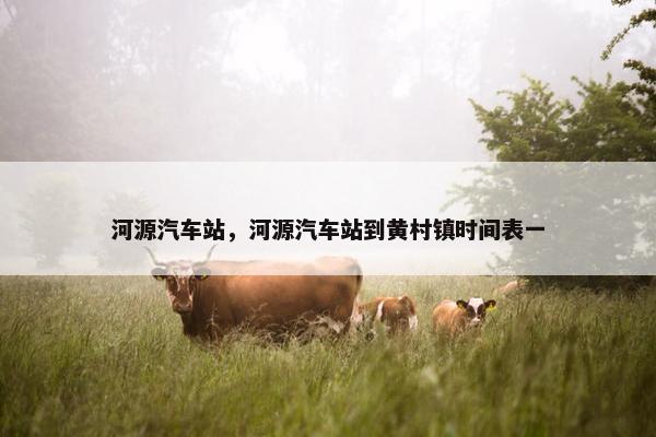 河源汽车站，河源汽车站到黄村镇时间表一