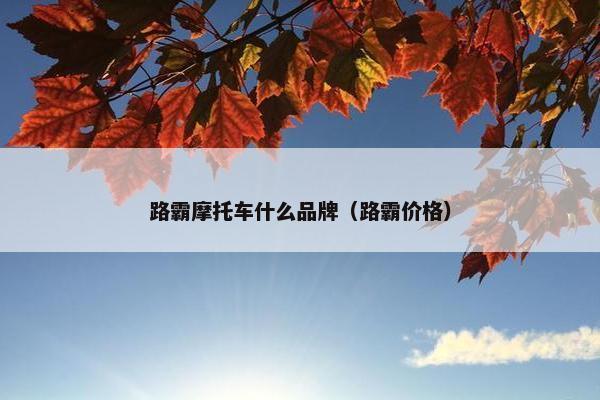 路霸摩托车什么品牌（路霸价格）