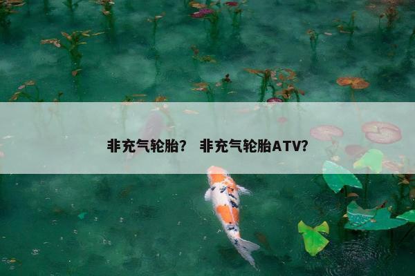 非充气轮胎？ 非充气轮胎ATV？