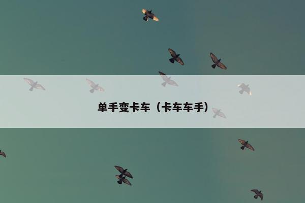 单手变卡车（卡车车手）
