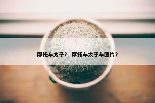摩托车太子？ 摩托车太子车图片？