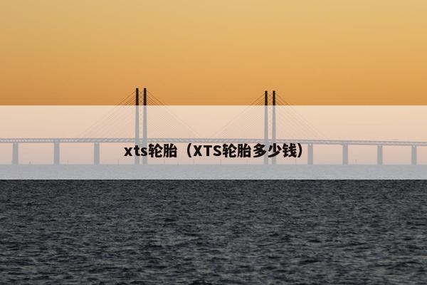 xts轮胎（XTS轮胎多少钱）