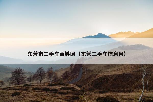 东营市二手车百姓网（东营二手车信息网）