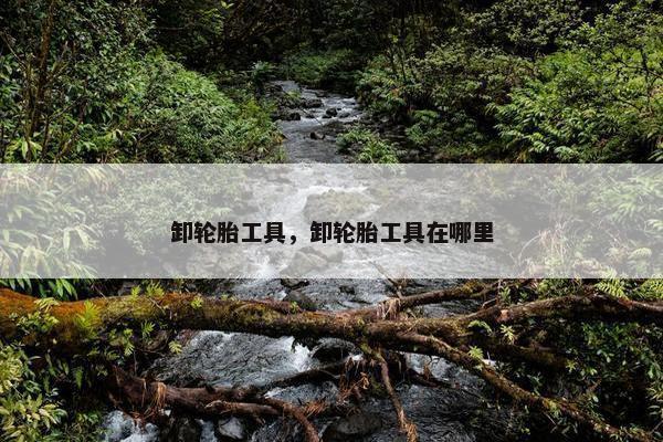 卸轮胎工具，卸轮胎工具在哪里