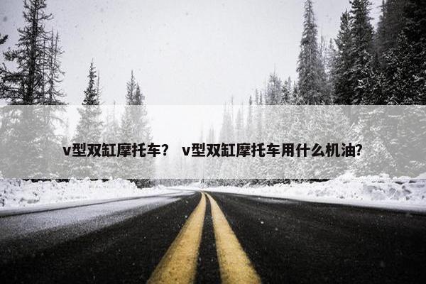 v型双缸摩托车？ v型双缸摩托车用什么机油？