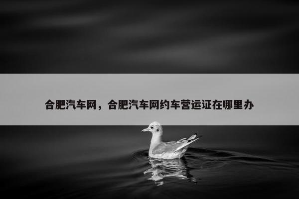 合肥汽车网，合肥汽车网约车营运证在哪里办