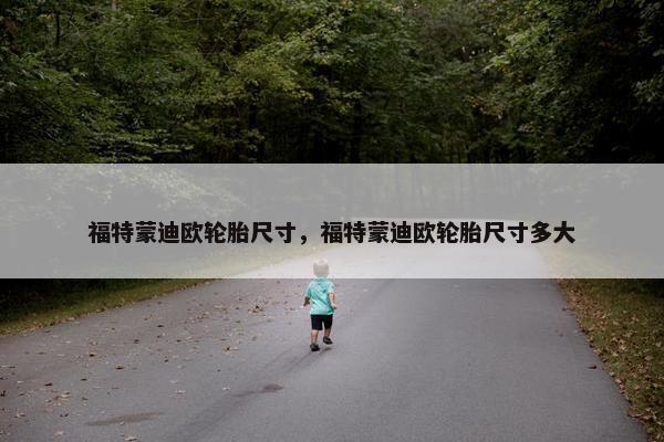 福特蒙迪欧轮胎尺寸，福特蒙迪欧轮胎尺寸多大