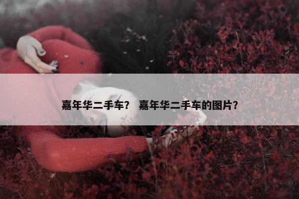 嘉年华二手车？ 嘉年华二手车的图片？