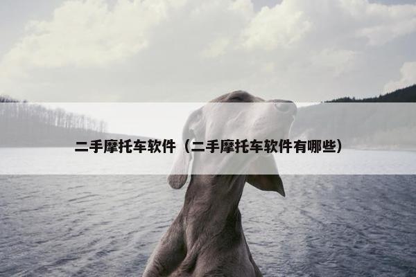 二手摩托车软件（二手摩托车软件有哪些）