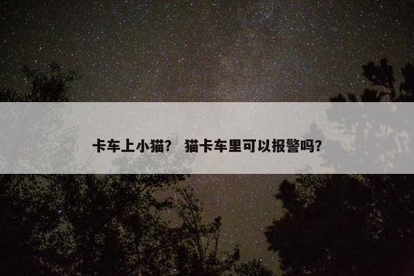 卡车上小猫？ 猫卡车里可以报警吗？