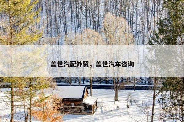 盖世汽配外贸，盖世汽车咨询