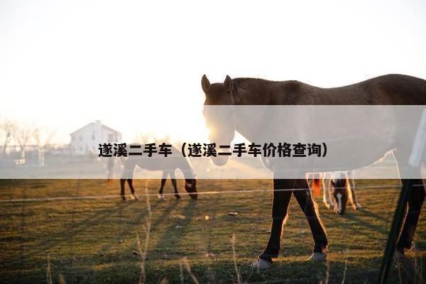 遂溪二手车（遂溪二手车价格查询）