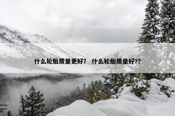 什么轮胎质量更好？ 什么轮胎质量好?？