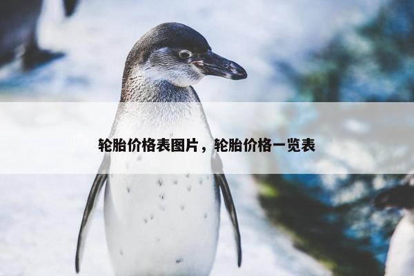 轮胎价格表图片，轮胎价格一览表