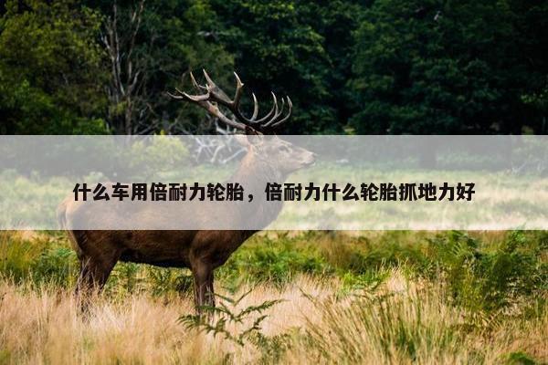 什么车用倍耐力轮胎，倍耐力什么轮胎抓地力好