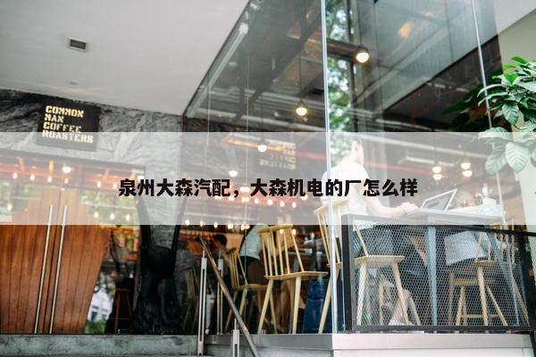 泉州大森汽配，大森机电的厂怎么样