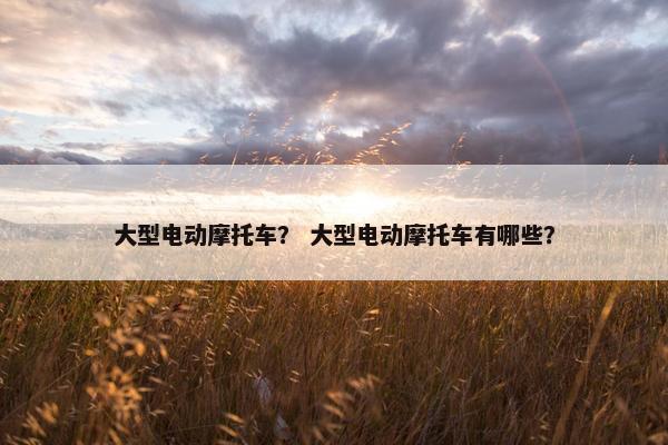 大型电动摩托车？ 大型电动摩托车有哪些？