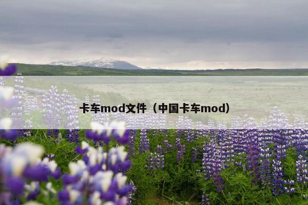 卡车mod文件（中国卡车mod）