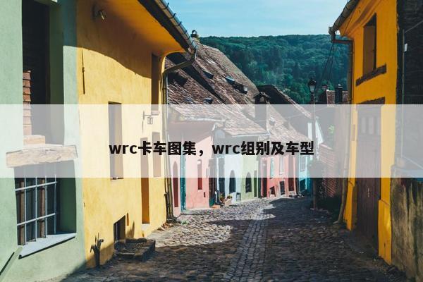 wrc卡车图集，wrc组别及车型