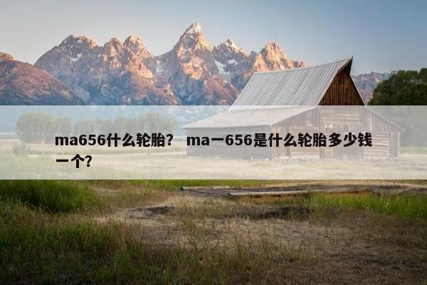 ma656什么轮胎？ ma一656是什么轮胎多少钱一个？