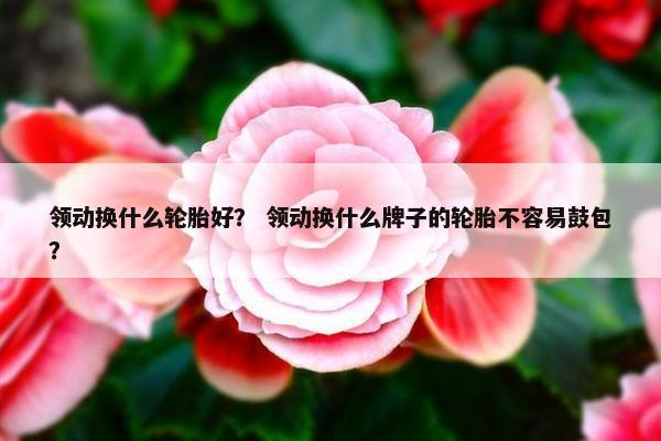 领动换什么轮胎好？ 领动换什么牌子的轮胎不容易鼓包？