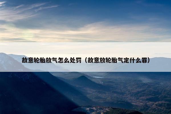 故意轮胎放气怎么处罚（故意放轮胎气定什么罪）