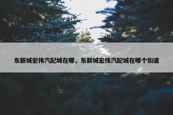 东新城宏伟汽配城在哪，东新城宏伟汽配城在哪个街道