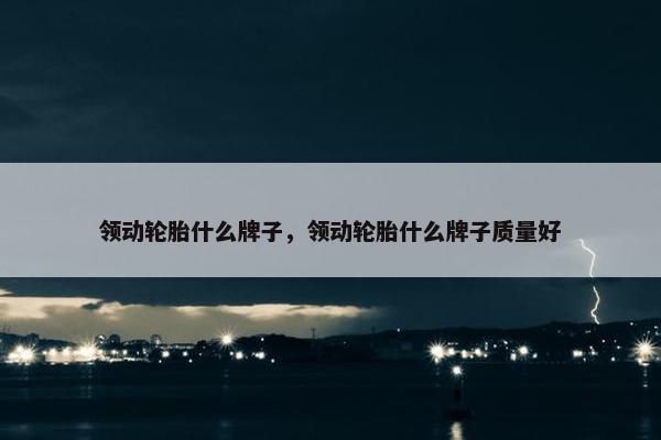 领动轮胎什么牌子，领动轮胎什么牌子质量好