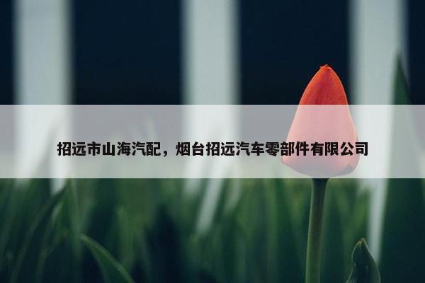 招远市山海汽配，烟台招远汽车零部件有限公司