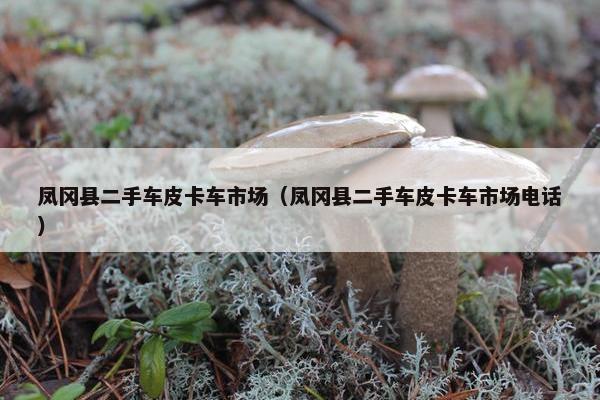 凤冈县二手车皮卡车市场（凤冈县二手车皮卡车市场电话）