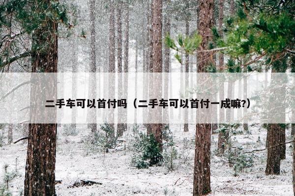 二手车可以首付吗（二手车可以首付一成嘛?）