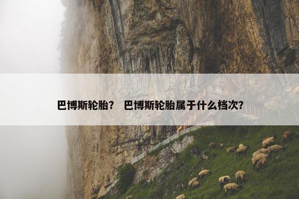 巴博斯轮胎？ 巴博斯轮胎属于什么档次？