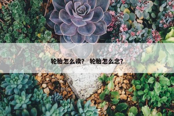 轮胎怎么读？ 轮胎怎么念？