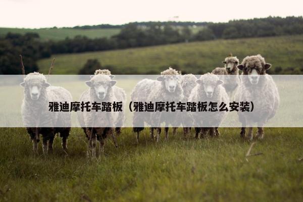 雅迪摩托车踏板（雅迪摩托车踏板怎么安装）