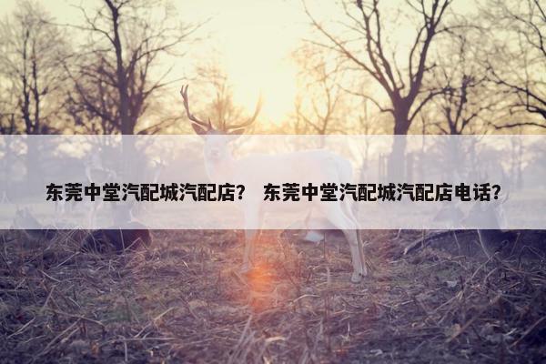 东莞中堂汽配城汽配店？ 东莞中堂汽配城汽配店电话？