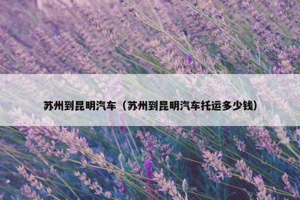 苏州到昆明汽车（苏州到昆明汽车托运多少钱）