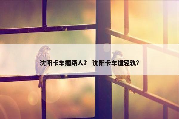 沈阳卡车撞路人？ 沈阳卡车撞轻轨？