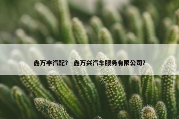 鑫万丰汽配？ 鑫万兴汽车服务有限公司？